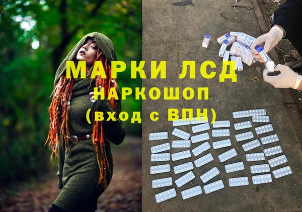 PSILOCYBIN Абдулино