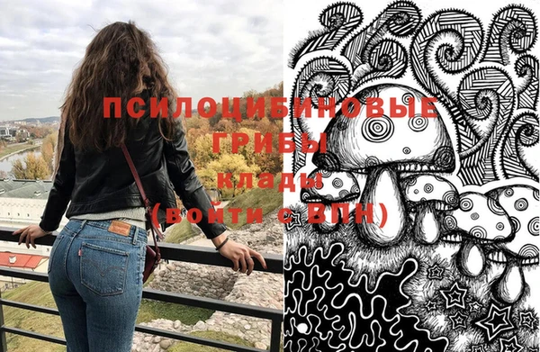 PSILOCYBIN Абдулино