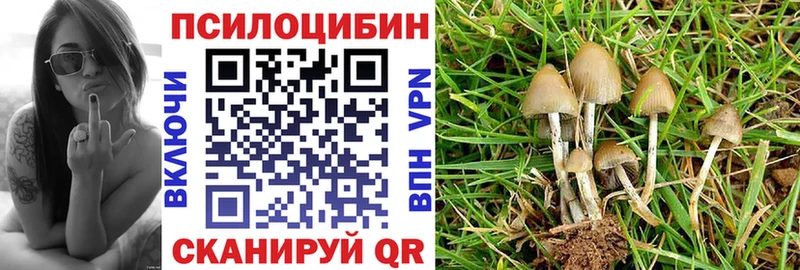 Псилоцибиновые грибы мицелий  blacksprut ONION  Фёдоровский  купить  